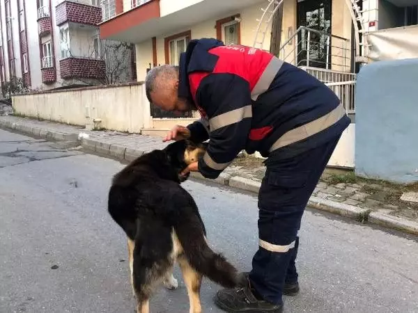 Şefkatli kalbin altından dram çıktı Şefkatli kalbin altından dram çıktı