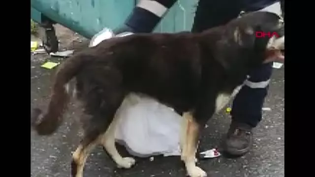 Şefkatli kalbin altından dram çıktı Şefkatli kalbin altından dram çıktı