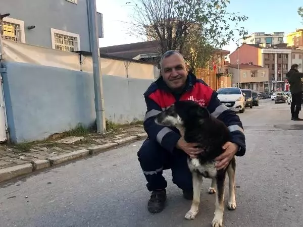 Şefkatli kalbin altından dram çıktı Şefkatli kalbin altından dram çıktı