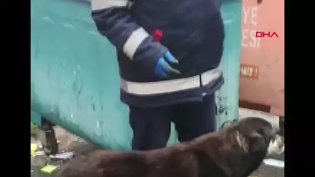 Şefkatli kalbin altından dram çıktı Şefkatli kalbin altından dram çıktı