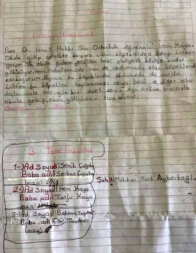 Sokak Kopeklerinden Korkan Ogrencilere Makam Aracini Tahsis Etti Haberler