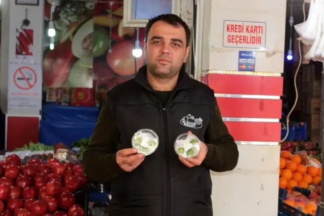Arjantin'den getirdiği eriğin kilosunu bin TL'ye satıyor