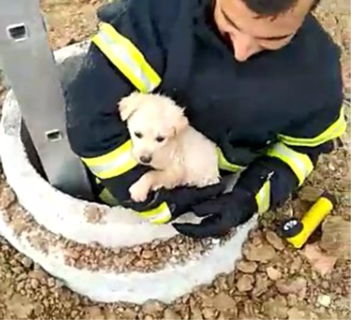 Kuyuya köpeği itfaiye kurtardı, o anlara kameraya yansıdı Haberler