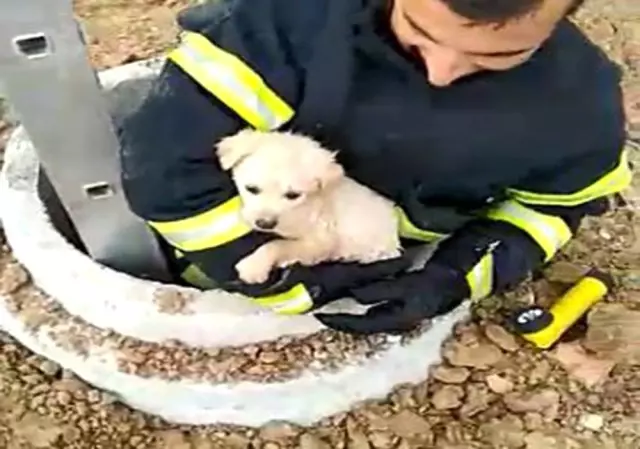 Kuyuya köpeği itfaiye kurtardı, o anlara kameraya yansıdı