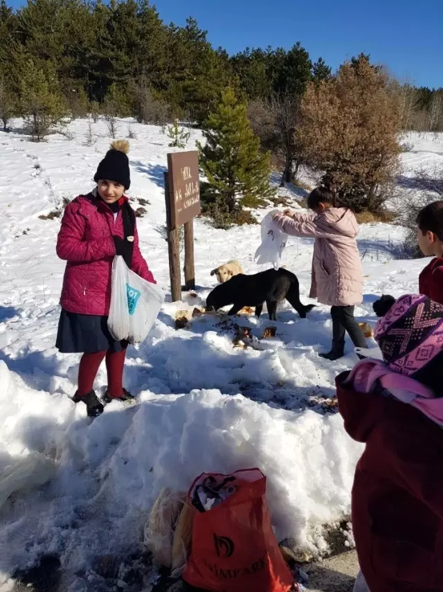 Öğrencilerden doğadaki hayvanlar için anlamlı etkinlik