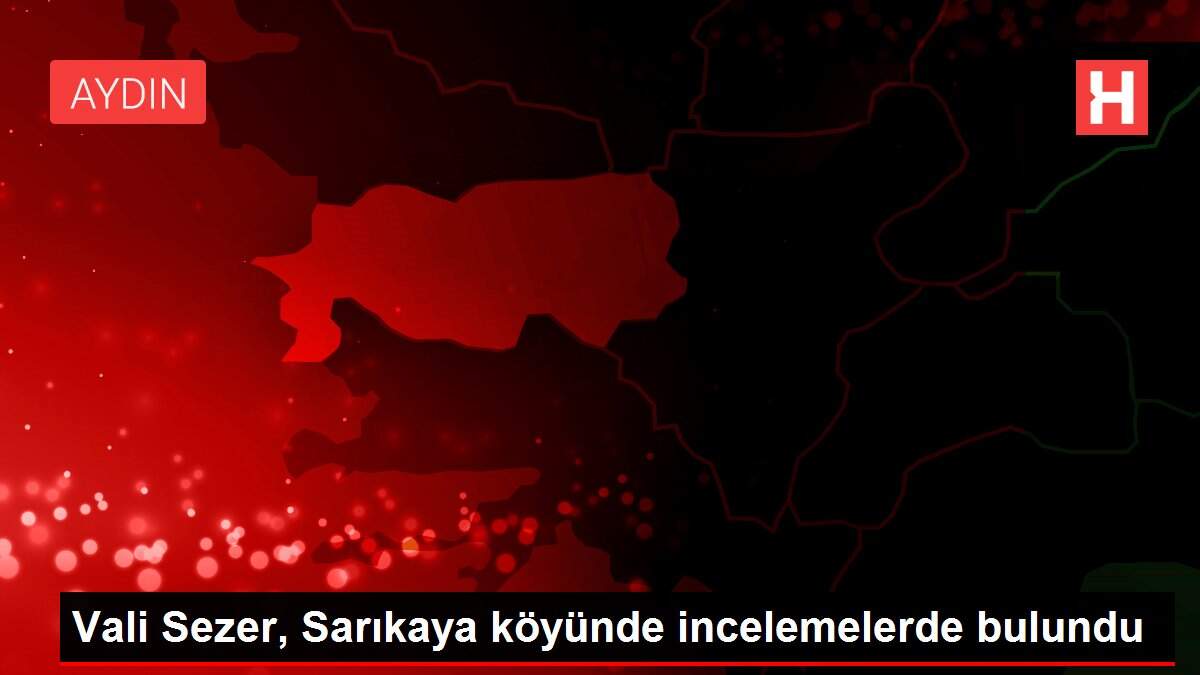 Vali Sezer, Sarıkaya köyünde incelemelerde bulundu