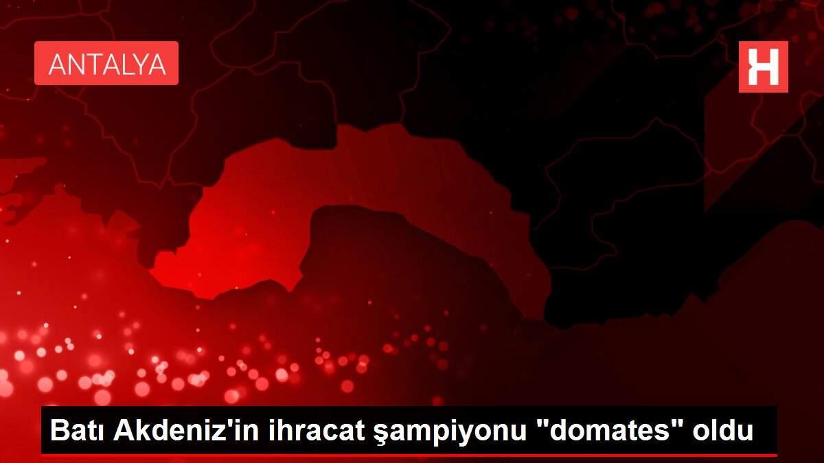 Batı Akdeniz'in ihracat şampiyonu 'domates' oldu