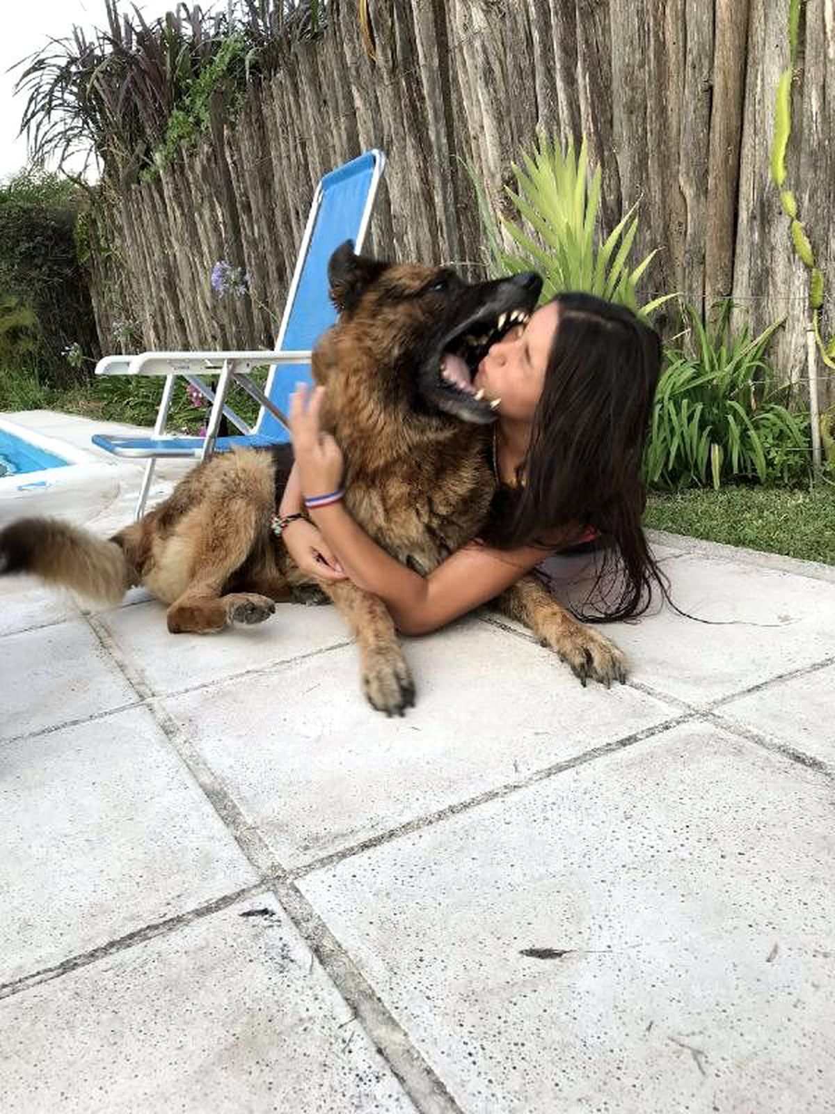 Beraber fotoğraf çektirmek istediği köpek yüzünü ısırdı