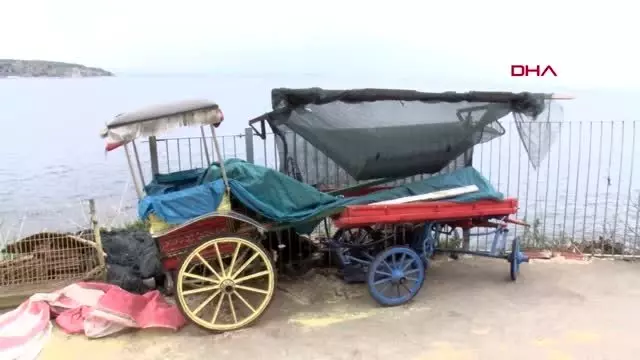 Fayton kararına faytoncular ve ada halkının yorumu