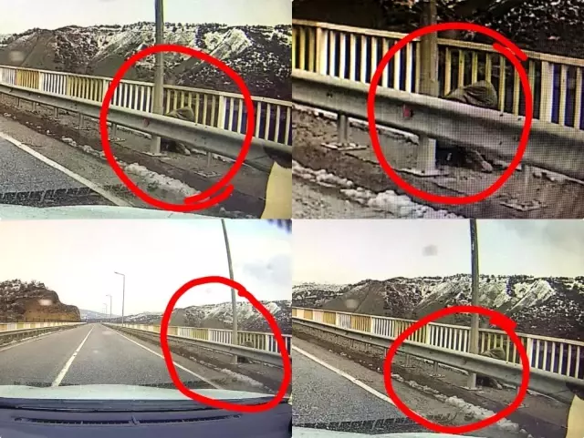 Kayıp Gülistan'ın olay günü köprüde görüntüsü çıktı
