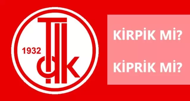 Kirpik nasıl yazılır? TDK'ya göre kiprik mi, kirpik mi? Kirpik nasıl yazılır? TDK'ya göre kiprik mi, kirpik mi?