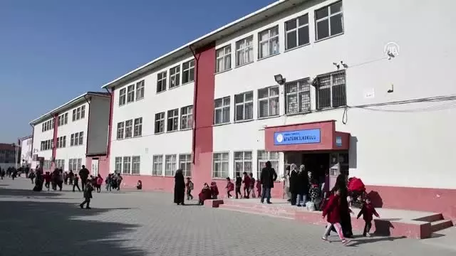 Sokak kedisi