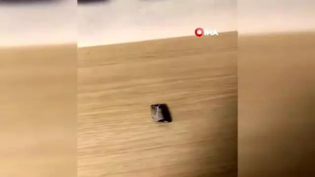 Başkent'te 2200 gram uyuşturucu ve 45 adet tarihi eser yakalandı Başkent'te 2200 gram uyuşturucu ve 45 adet tarihi eser yakalandı
