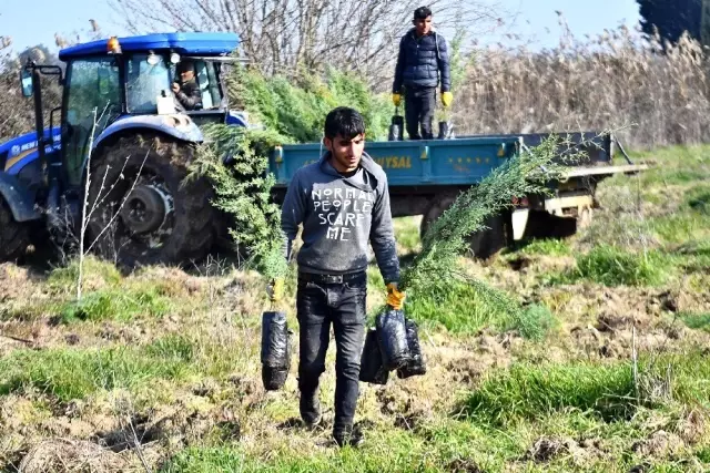 İZSU'dan Tahtalı Havzasına 1 milyon 109 bin fidan İZSU'dan Tahtalı Havzasına 1 milyon 109 bin fidan