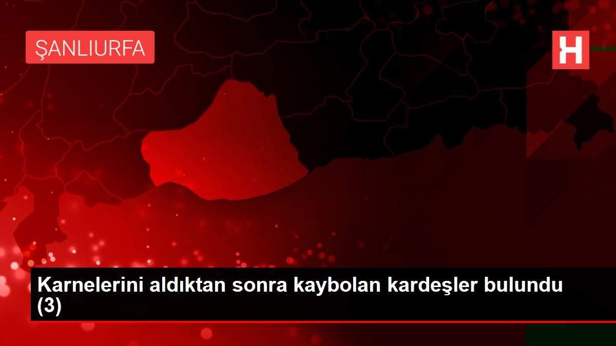 Karnelerini aldıktan sonra kaybolan kardeşler bulundu (3)