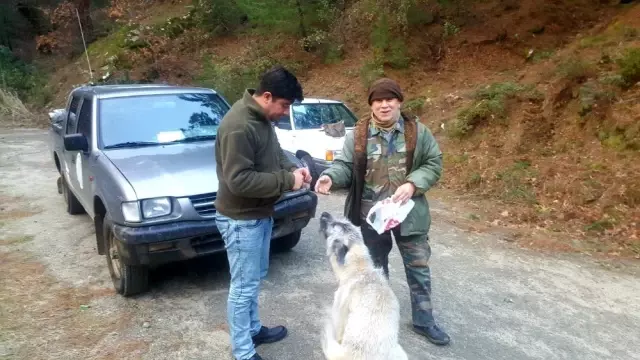 Kazdağları'nda kaçak ava geçit yok