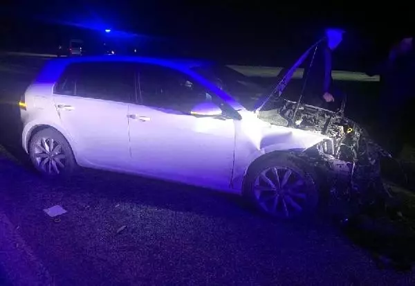 Kütahya'da otomobil domuza çarptı: 2 yaralı