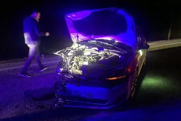 Kütahya'da otomobil domuza çarptı: 2 yaralı