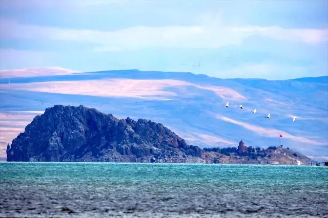 Van Gölü Havzası göçmen kuşlara ev sahipliği yapıyor