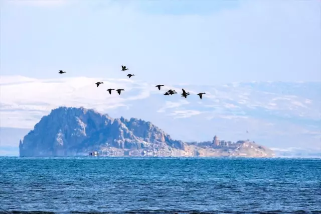Van Gölü Havzası göçmen kuşlara ev sahipliği yapıyor