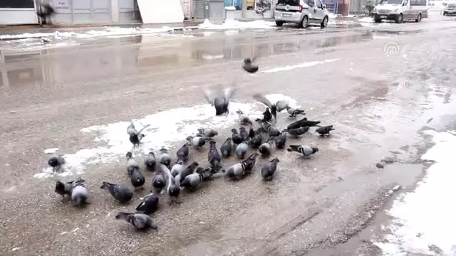 Düzce'de kar yağışı etkili oluyor