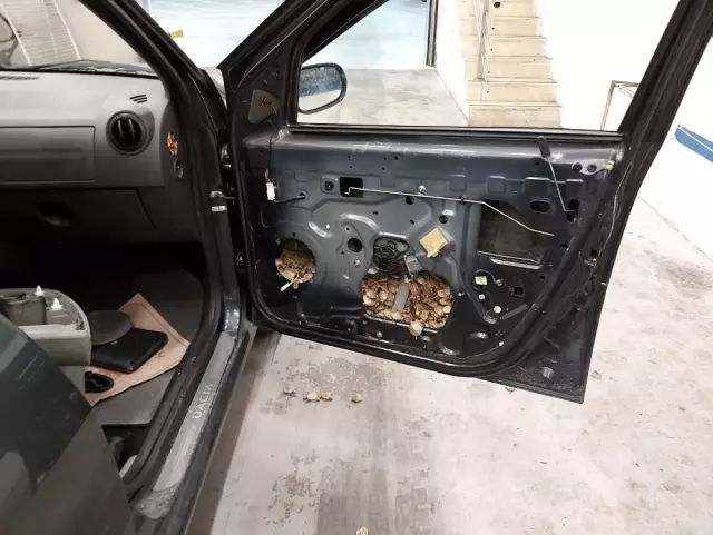 Bir otomobilin kapılarına gizlenmiş 5 bin 450 adet su kaplumbağası yakalandı Bir otomobilin kapılarına gizlenmiş 5 bin 450 adet su kaplumbağası yakalandı