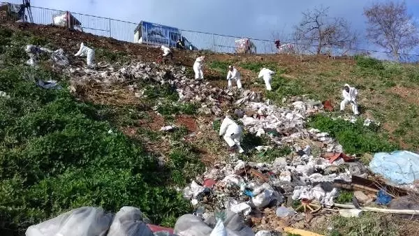 Adalar'daki fayton temizliğinde 25 ton atık çıkarıldı Adalar'daki fayton temizliğinde 25 ton atık çıkarıldı