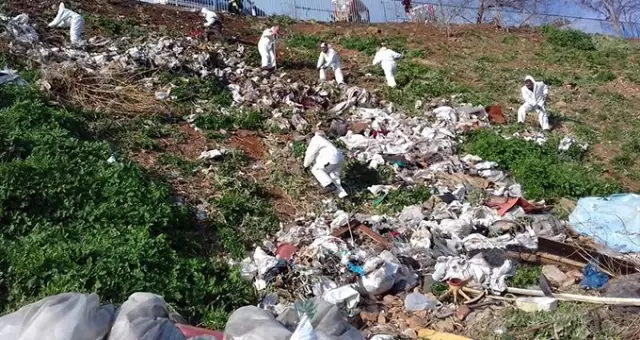 Adalar'daki fayton temizliğinde 25 ton atık çıkarıldı