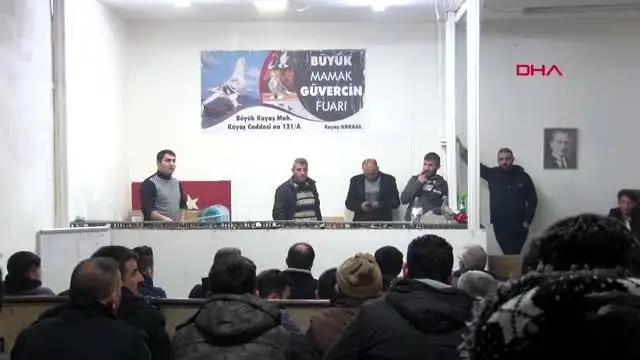 Ankara otomobil fiyatına güvercin Ankara otomobil fiyatına güvercin