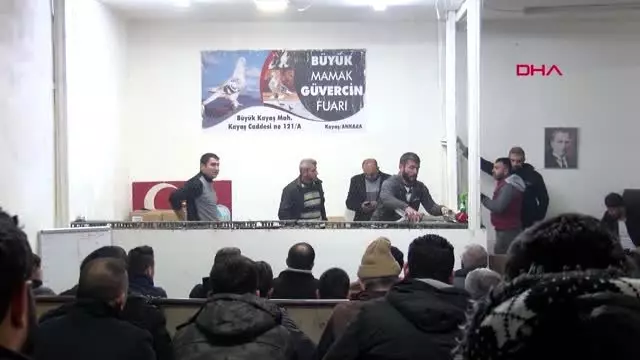 Ankara otomobil fiyatına güvercin Ankara otomobil fiyatına güvercin