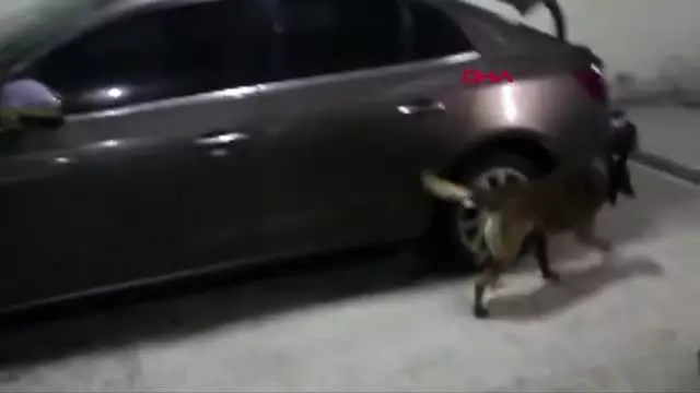 Bolu otomobilin gizli bölmesinden 10 kilo eroin çıktı Bolu otomobilin gizli bölmesinden 10 kilo eroin çıktı