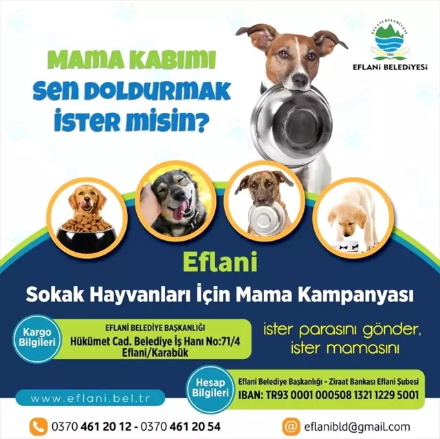 Eflani Belediyesinden sokak hayvanları için mama kampanyası Eflani Belediyesinden sokak hayvanları için mama kampanyası