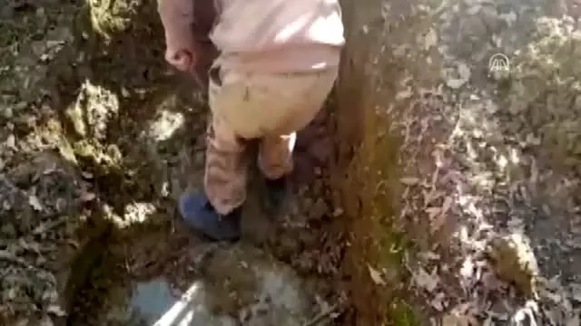 Güvenlik güçleri teröristlere göz açtırmıyor Güvenlik güçleri teröristlere göz açtırmıyor