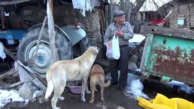 Kütahya emekli maaşıyla sokak hayvanlarını besliyor