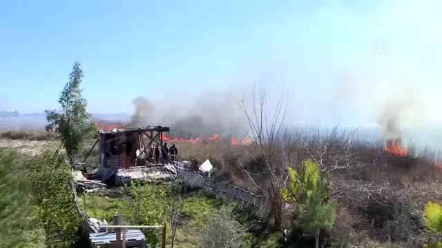 Sazlık alanda yangın (4) Sazlık alanda yangın (4)
