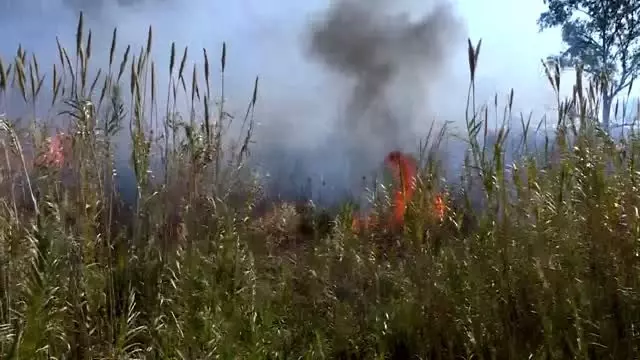 Sazlık alanda yangın (4) Sazlık alanda yangın (4)