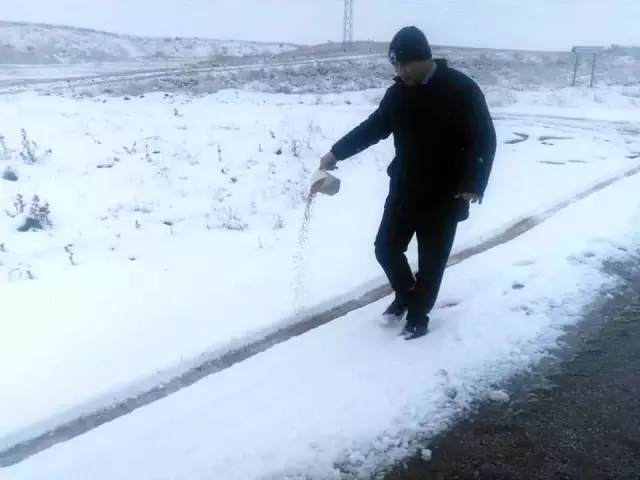 Sungurlu Belediyesi doğaya yem bıraktı Sungurlu Belediyesi doğaya yem bıraktı