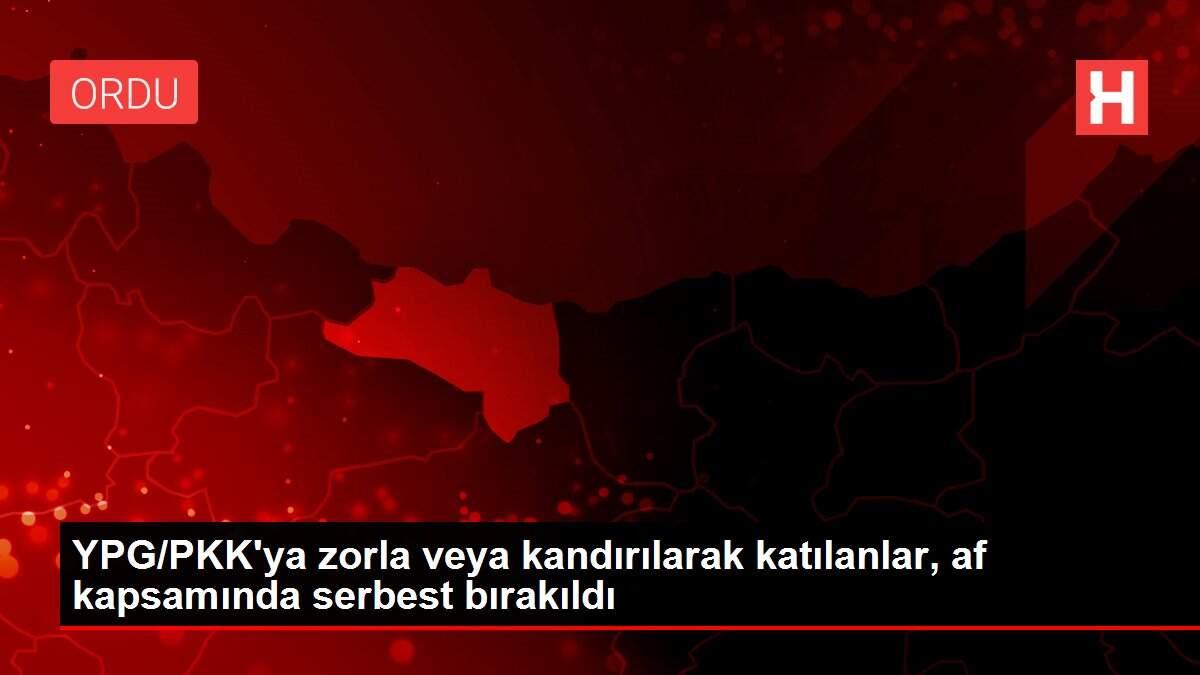 YPG/PKK'ya zorla veya kandırılarak katılanlar, af kapsamında serbest bırakıldı YPG/PKK'ya zorla veya kandırılarak katılanlar, af kapsamında serbest bırakıldı