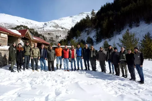 Gümüşhane'de yaban hayvanları için doğaya yem bırakıldı