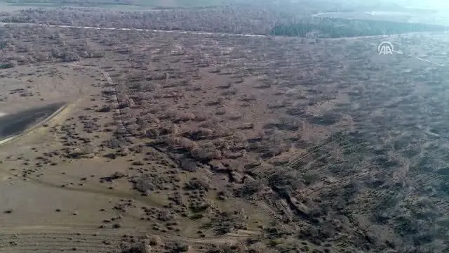 Kırklareli'de planörden uyuşturucu atıldığı iddiası Kırklareli'de planörden uyuşturucu atıldığı iddiası
