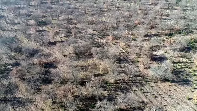Kırklareli'de planörden uyuşturucu atıldığı iddiası Kırklareli'de planörden uyuşturucu atıldığı iddiası