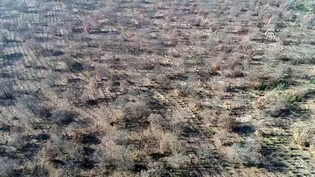 Kırklareli'de planörden uyuşturucu atıldığı iddiası Kırklareli'de planörden uyuşturucu atıldığı iddiası