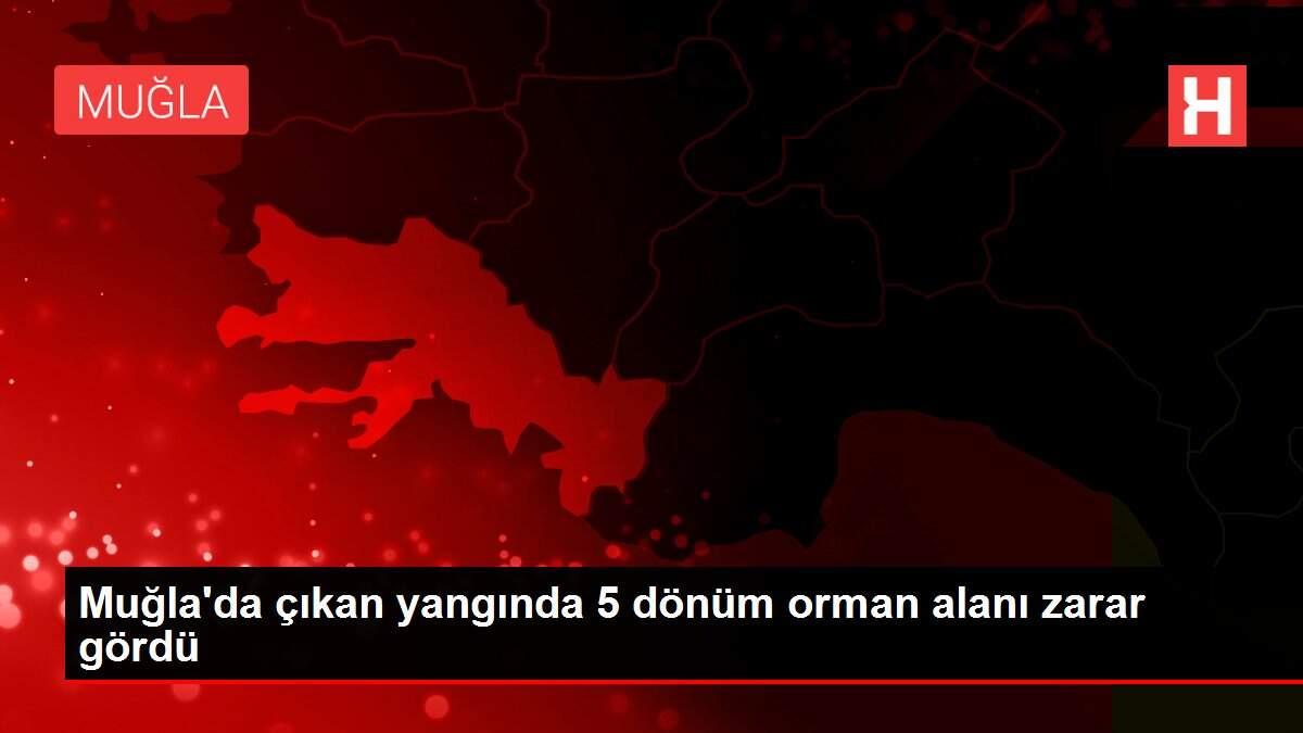 Muğla'da çıkan yangında 5 dönüm orman alanı zarar gördü