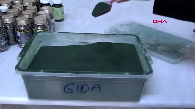 Muğla serada ürettiği yosunu 6 ülkeye ihraç ediyor