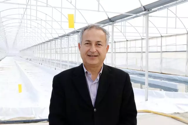 Serada ürettiği yosunu 6 ülkeye ihraç ediyor
