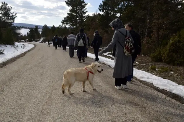 Tavşanlı'da doğa yürüyüşü