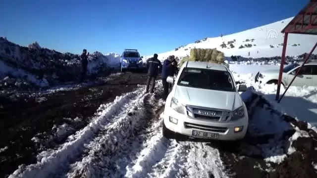 Emir Dağları'ndaki yılkı atları için 2 ton yem bırakıldı Emir Dağları'ndaki yılkı atları için 2 ton yem bırakıldı