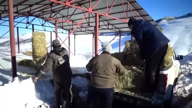 Emir Dağları'ndaki yılkı atları için 2 ton yem bırakıldı Emir Dağları'ndaki yılkı atları için 2 ton yem bırakıldı