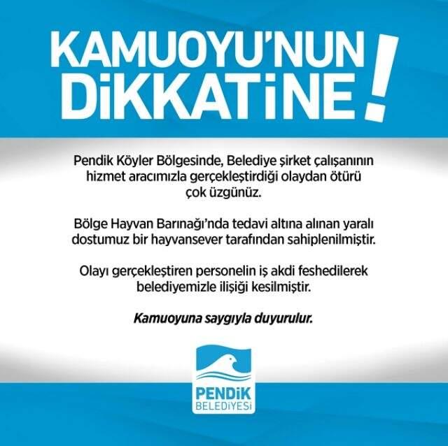 Görüntüler infial yarattı! Belediye aracıyla köpeği ezdi.