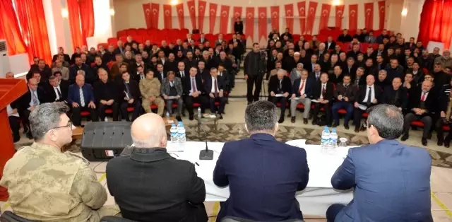 Vali Memiş: Vali Memiş: